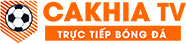 trực tiếp bóng đá trực tuyến