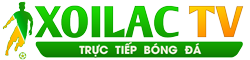trực tiếp bóng đá trực tuyến